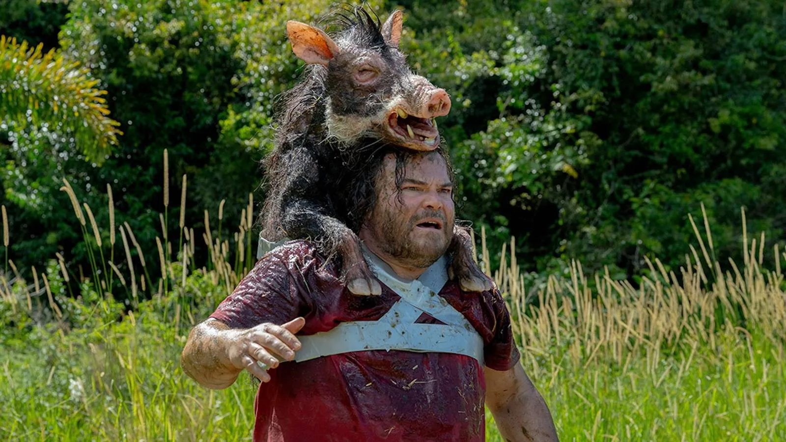 Sony's Giant Snake Film Revival Proves to Be a Really Good Idea